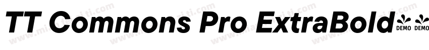 TT Commons Pro ExtraBold字体转换